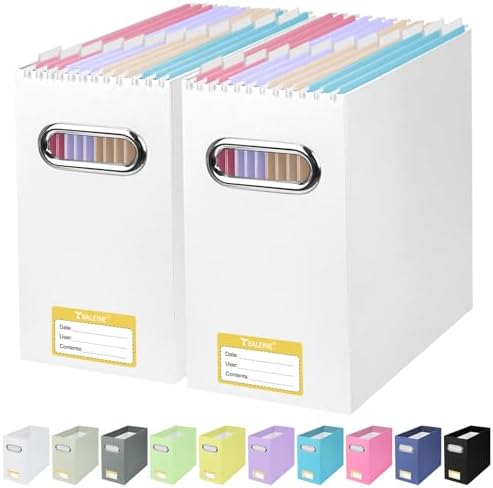 BALEINE 2PK File Organizer Box, Cardboard File Folder Organizer with Handle — White